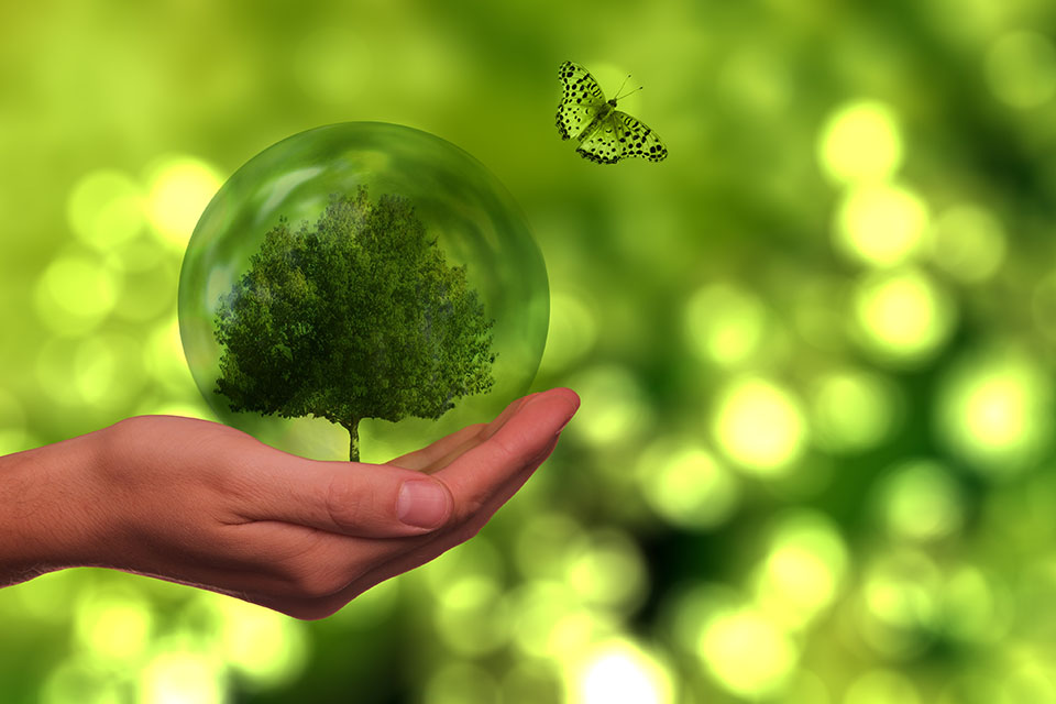Eventos sustentables: pr&aacute;cticas reales para una organizaci&oacute;n consciente